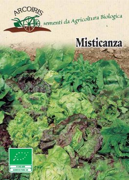 Semi di Misticanza Bio - 1