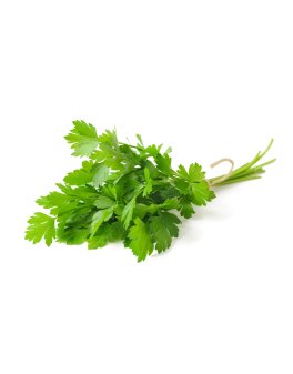 Semi di Prezzemolo Comune 2 Bio - 1