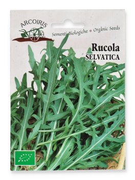 Semi di Rucola Selvatica Bio - 1