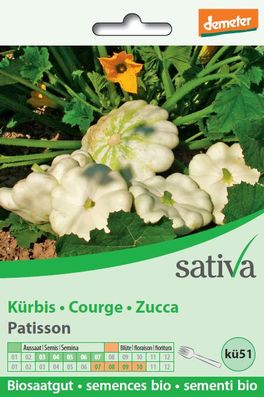Semi di Zucca - Patisson - 2