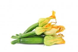 Semi di Zucchino San Pasquale Bio - 1