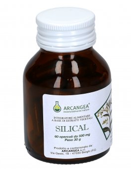 Silical - Integratore di Estratti Vegetali - 3