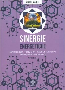 Sinergie Energetiche — Libro - 1