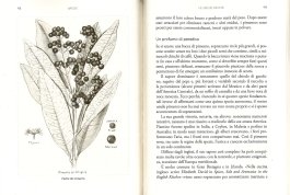 Spezie - Storia, Cultura, Cucina — Libro - 3