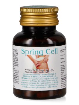 Spring Cell - 1