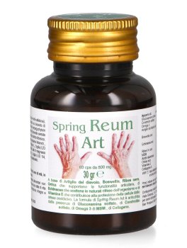 Spring Reum Art - 1