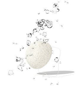 Spugna Konjac - 5