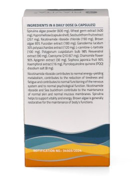 SteNR - Capsule - 7