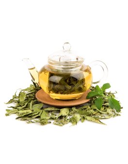 Stevia Bio in Foglie - 4