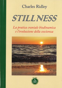 Stillness — Libro - 1