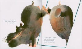 Strano! — Libro - 3