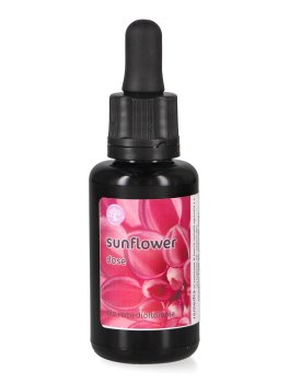 Sunflower - Fiori californiani - Dose - 1