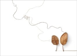 Susanna Bauer. In Leaf — Libro - 5