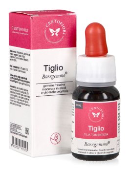 Tiglio - Basegemmo - 1
