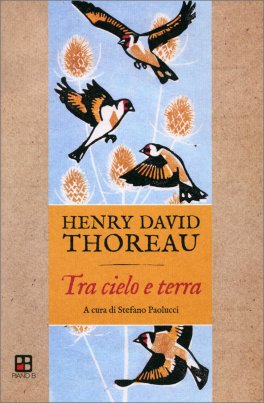 Tra Cielo e Terra - Appunti e Riflessioni sugli Uccelli — Libro - 1