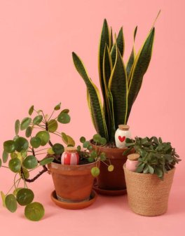Trio Mini Ollas in Terracotta - The Lovers - 4