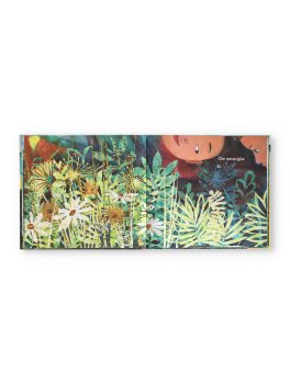 Tutto è Meraviglia — Libro - 2
