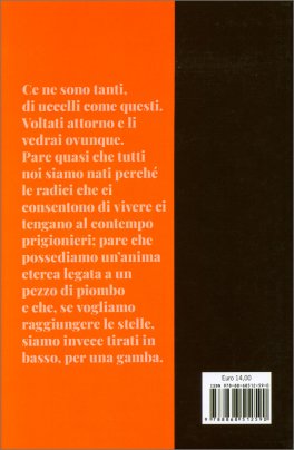 Uccelli di Fango — Libro - 2