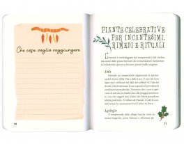 Un Anno Magico — Libro - 3
