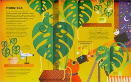 Una Giungla in Casa Mia — Libro - 3