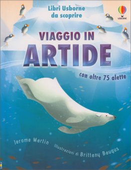 Viaggio in Artide — Libro - 1