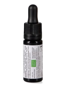 Water Violet - Dose - 2
