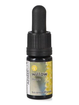 Willow - Soluzione Madre - 1