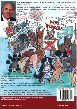 Work Wonders — Libro - 2