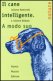 Immagine prodotto