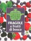 Immagine prodotto