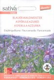 Semi di Asperula Azzurra