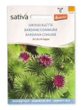 Bardana Comune - Arctium Lappa
