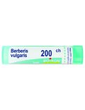 Berberis Vulgaris Boiron 200CH Granuli