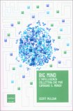 Big Mind — Libro
