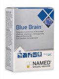 Blue Brain