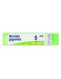 Bovista Gigantea Boiron 5CH Granuli