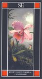 Camminare — Libro