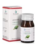 Carciofo