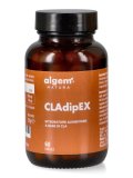 CLAdipEX