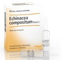 Echinacea Compositum Forte S Heel 10 Fiale