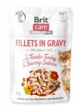 Filetti con Tacchino e Salmone in Salsa per Gatti