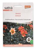 Fiore Annuale Dahlia - Fiore Annuale