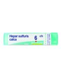 Hepar Sulfuris Calcareum 6CH Granuli Boiron