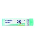 Lachesis Mutus 200K Granuli Boiron