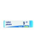 Ledum Palustre 9CH Globuli Monodose Boiron