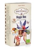 Magic Box - 12 Tisane Ayurvediche
