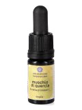 Muschio di Quercia - Olio Essenziale Floripotenziato