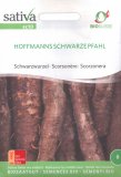 Semi di Scorzanera Hoffmanns Schwarze Pfahl