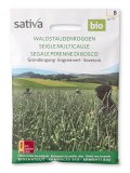 Semi di Sovescio - Segale Perenne di Bosco