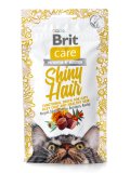 Snack Shiny Hair per Gatti
